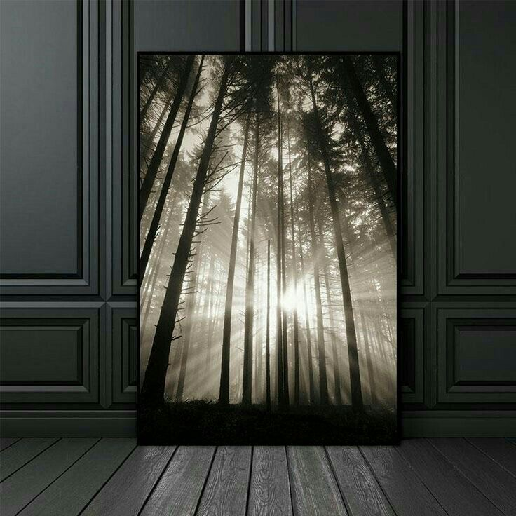 Forêt de Lumière 90x60 cm 