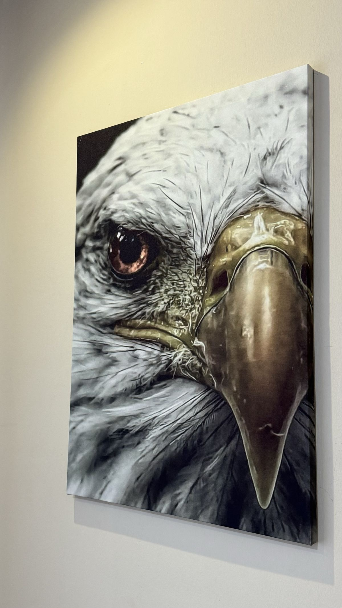 Regard de l’Aigle 90x60 cm 